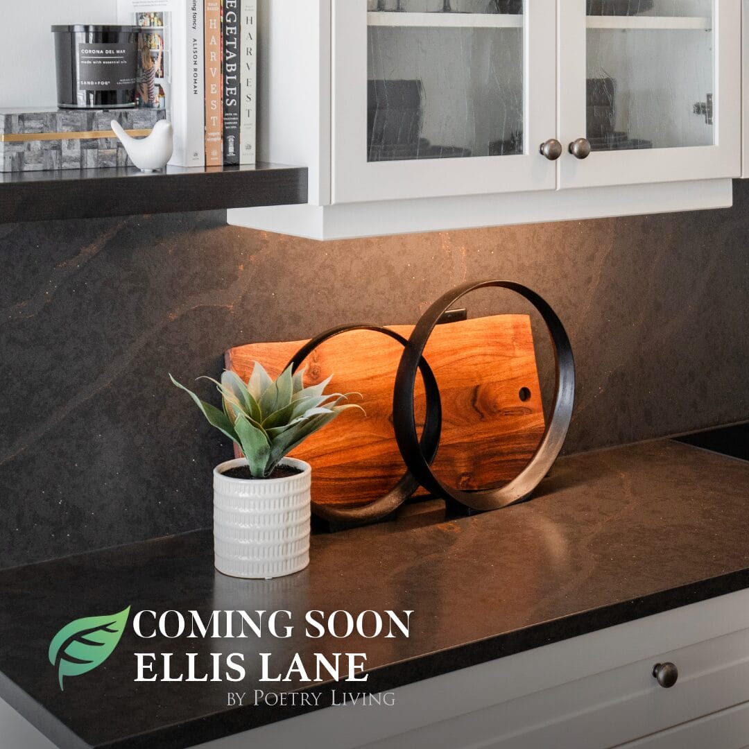 Ellis-Lane-coming-soon2